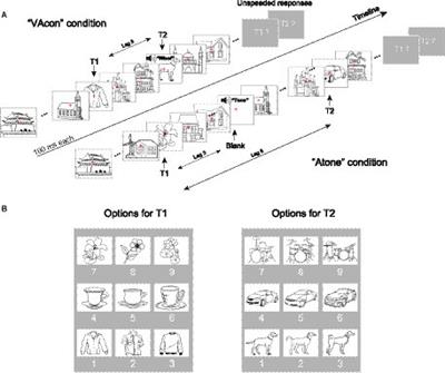 The dissociation of semantically congruent and incongruent cross-modal effects on the visual attentional blink